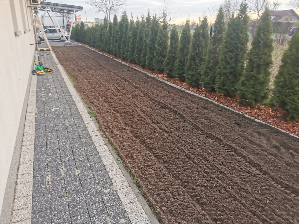 Niwelacja terenu przygotowany równy grunt obok ścieżki z kostki brukowej i żywopłotu