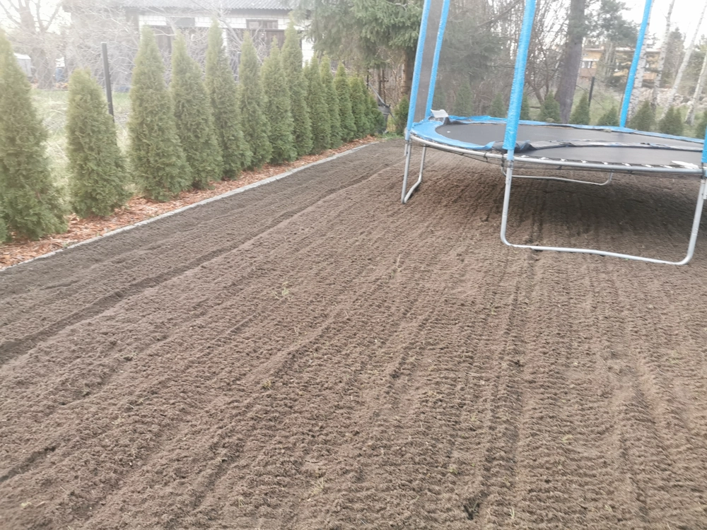 Wyrównany teren pod trawnik z szpalerem tui i trampoliną, usługa niwelacja terenu