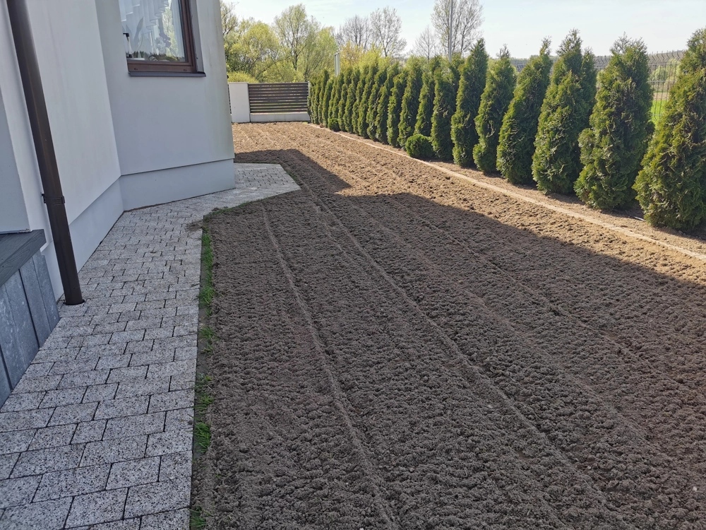 Niwelacja terenu: równanie i spulchnianie pod przyszły trawnik obok tarasu i szpaleru tuj